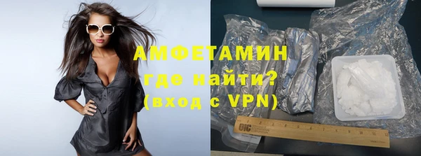 индика Арсеньев