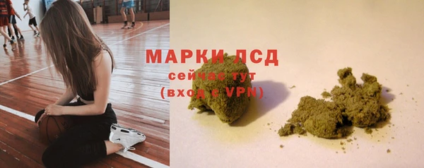 индика Арсеньев