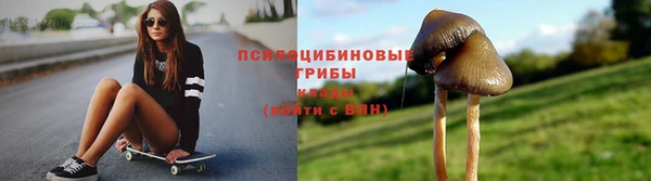 mdpv Баксан