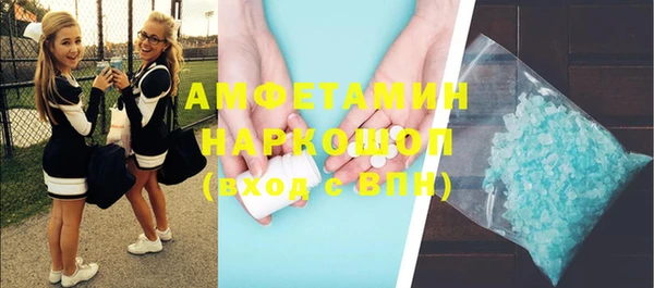 индика Арсеньев