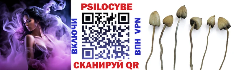 Галлюциногенные грибы GOLDEN TEACHER  где продают наркотики  Кодинск 